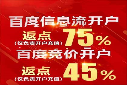 某SEM外包公司广告投放策略及效果评估